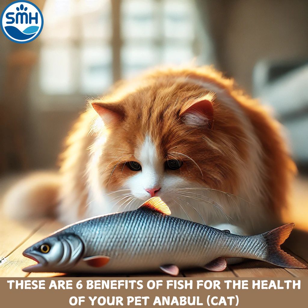 THESE ARE 6 BENEFITS OF FISH FOR THE HEALTH OF YOUR PET ANABUL (CAT)